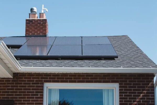 PEST CONTROL BIGGLESWADE, Bedfordshire. Services: Solar Panel Bird Proofing. Keep Your Solar Panels Safe from Avian Threats with Local Pest Control Ltd's Expert Bird Proofing Services in Biggleswade